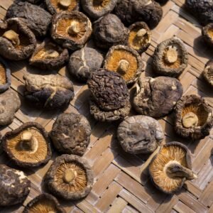 Classic Dried Mushroom