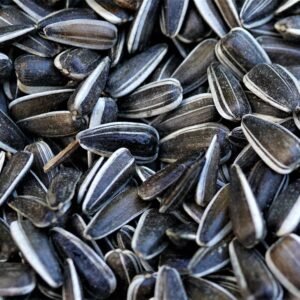Dried Sunflower Seeds