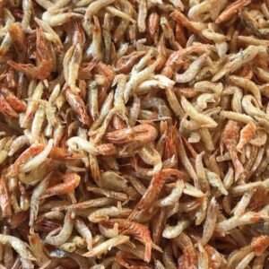 Dried Shrimp