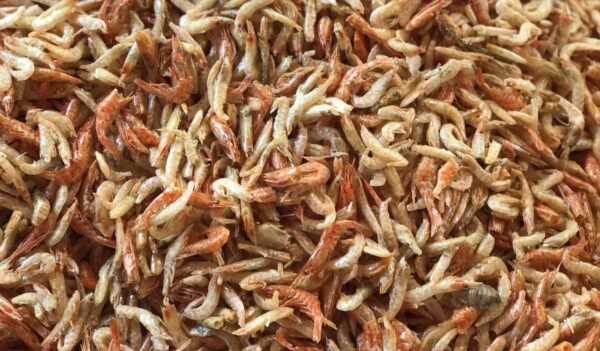 Dried Shrimp