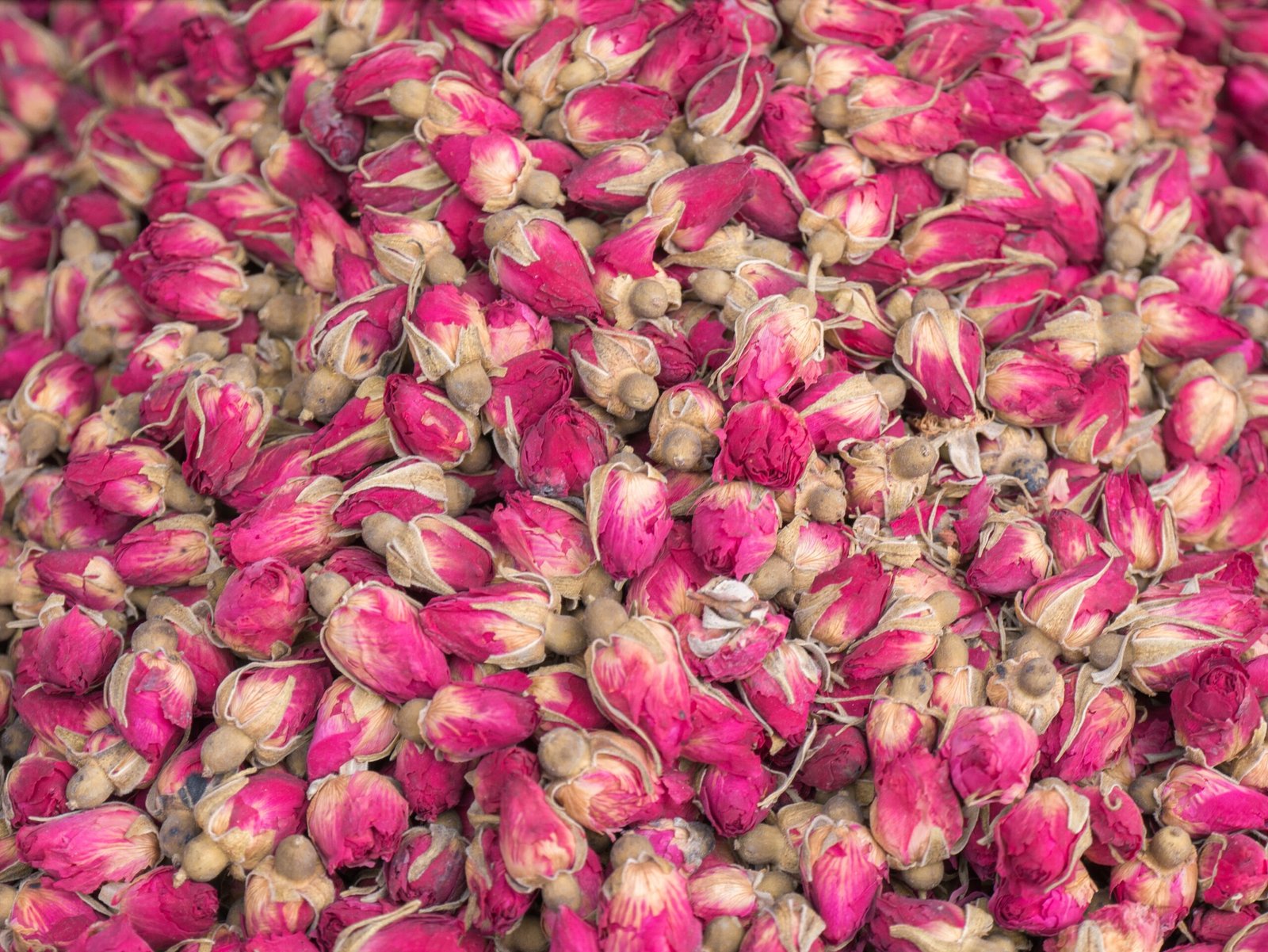 Premium Dried Rose Buds