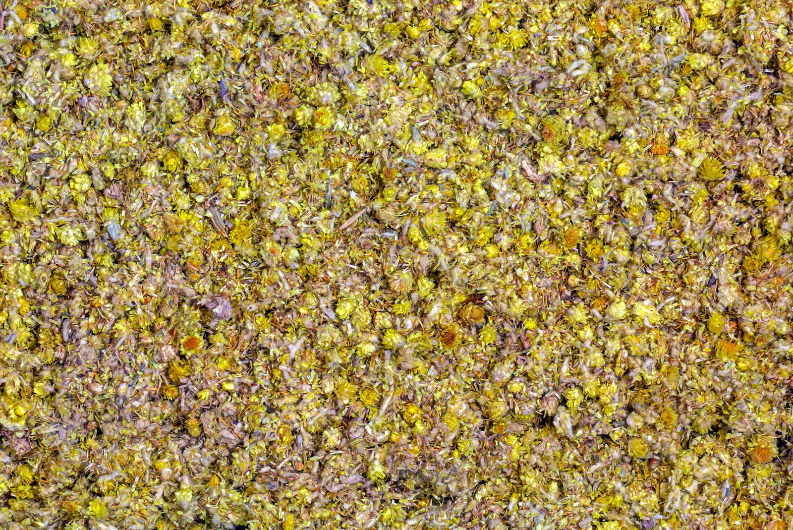Dried Chrysanthemums