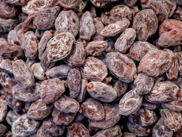 Premium Dried Prunes