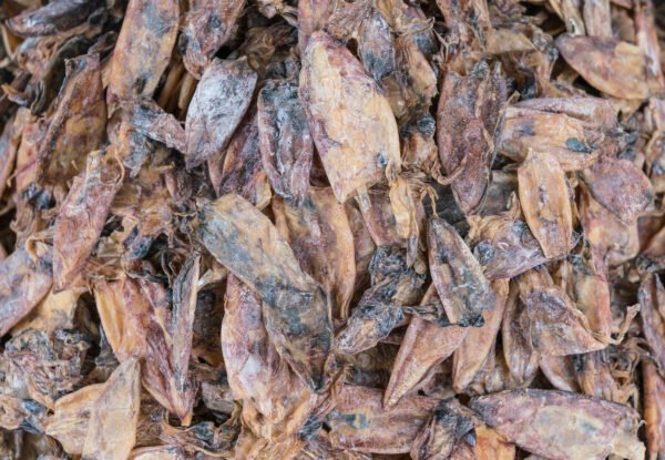 Dried Squid