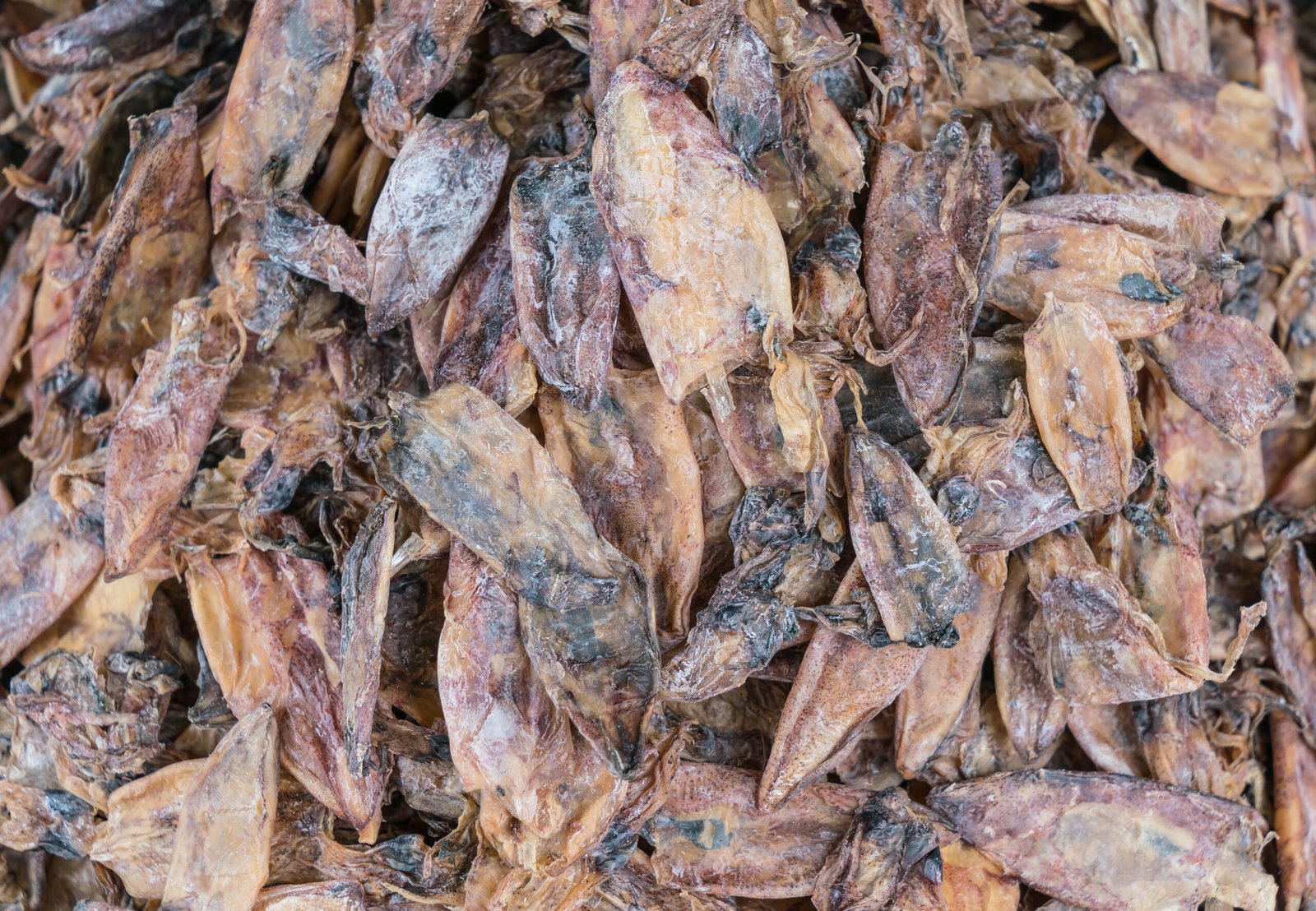 Dried Squid