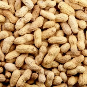 Premium Roasted Peanuts