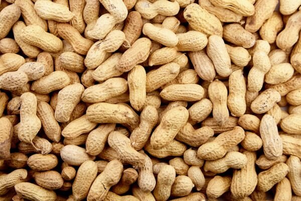 Premium Roasted Peanuts