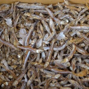 Dried Anchovies (L size)