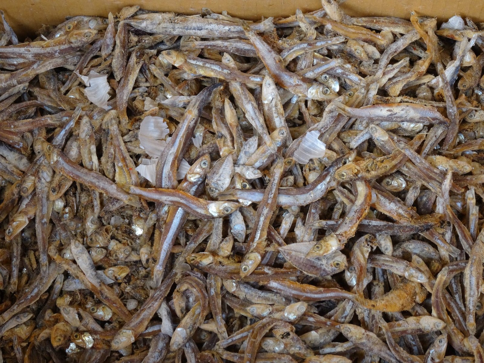 Dried Anchovies (L size)
