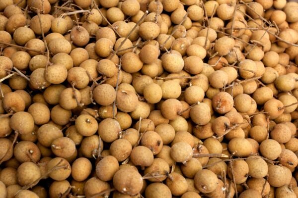Premium Dried Longan