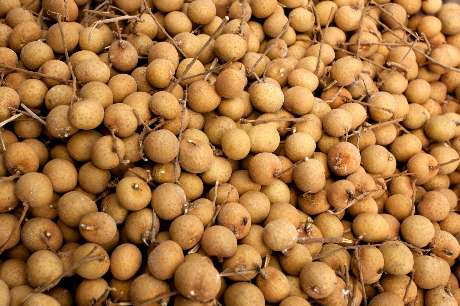 Premium Dried Longan