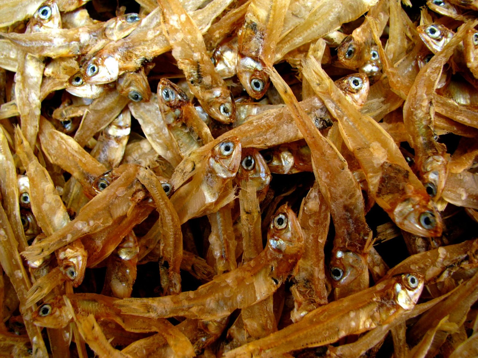 Dried Anchovies (M size)