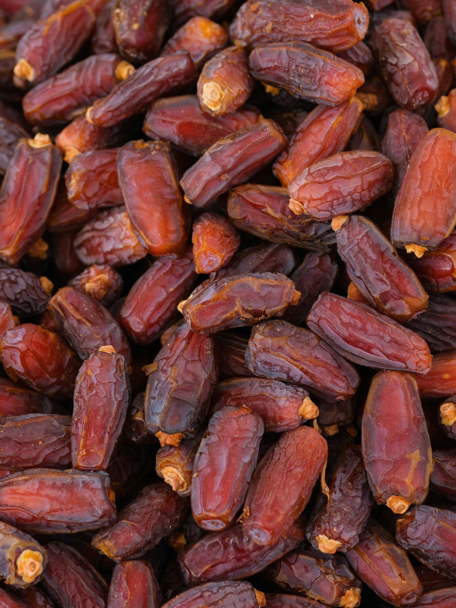 Medjool Dates