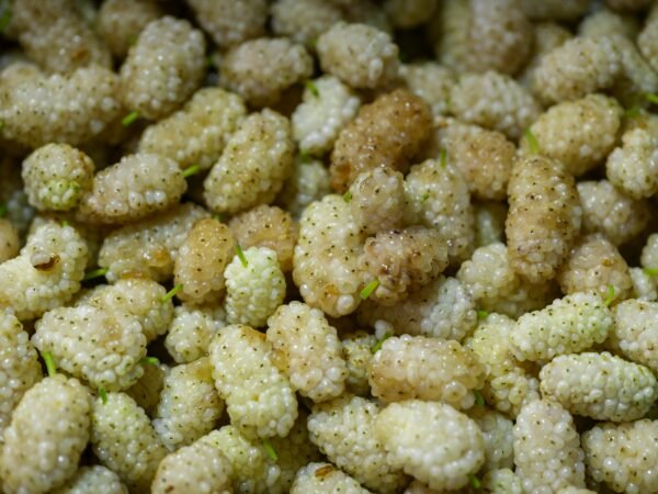 White Dried Mulberries