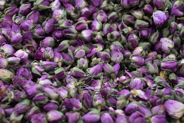 Dried Purple Rose Buds