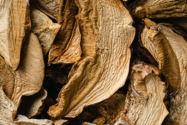 Dried Porcini Mushroom