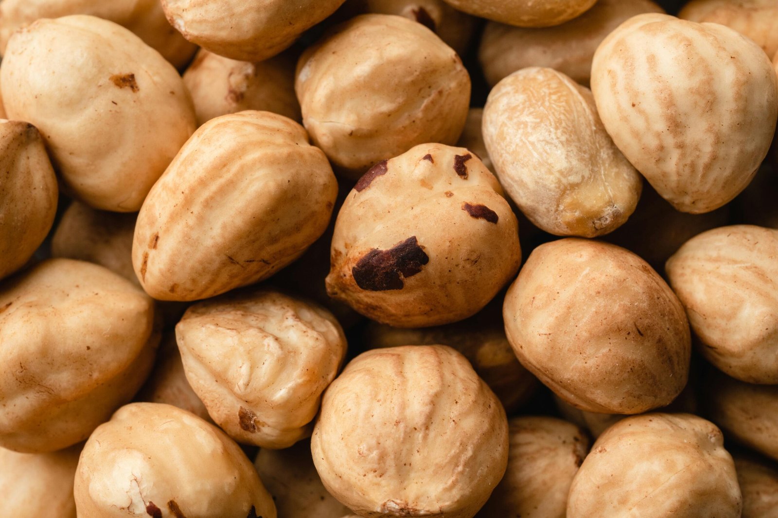 Roasted Hazelnuts