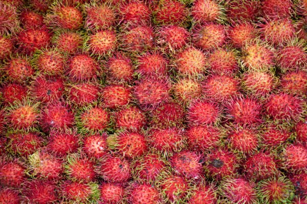 Premium Dried Rambutan