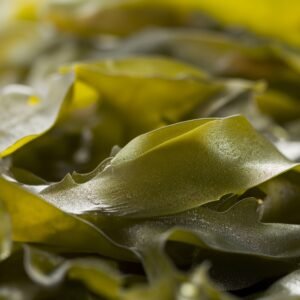 Dried Shredded Kelp