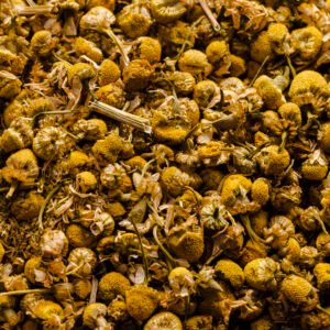 Dried Helichrysum