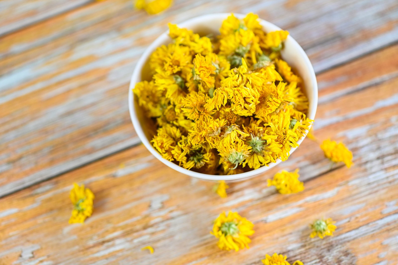 Dried Chrysanthemums - Image 3