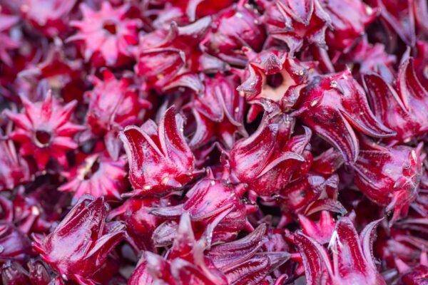 Dried Hibiscus Flowers
